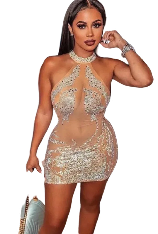 Jela Sparkle Sheer Mesh Mini Dress