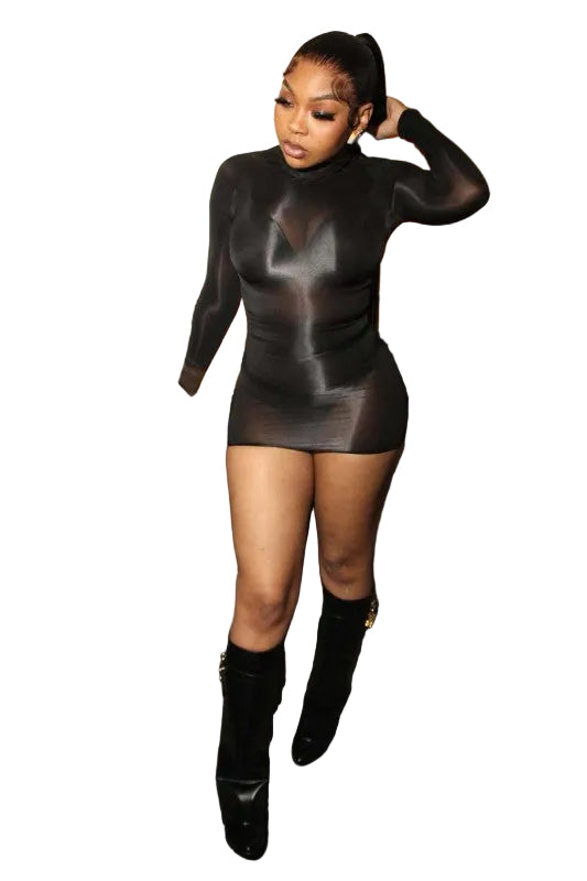 Sheer Mini Dress