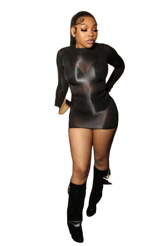Sheer Mini Dress